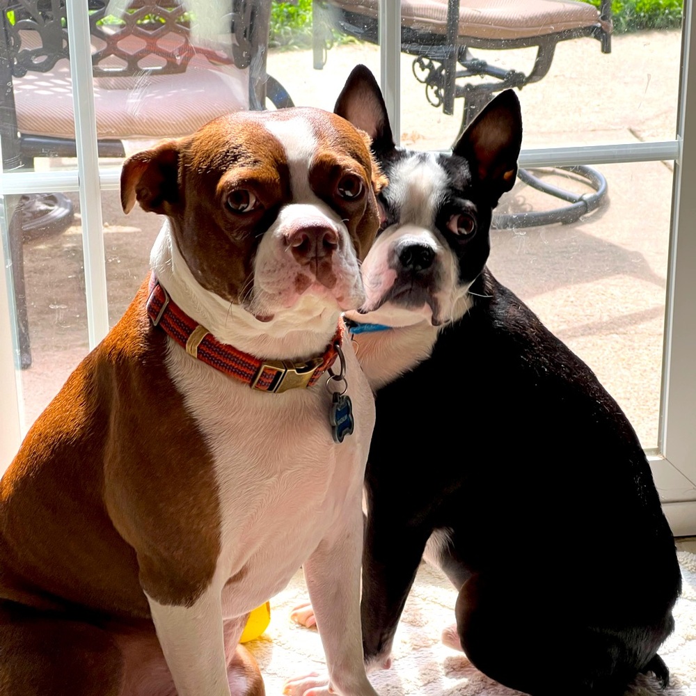 Meet your Posher, Melanie